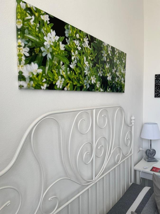 ألغيرو Sa Vivenda Rooms المظهر الخارجي الصورة